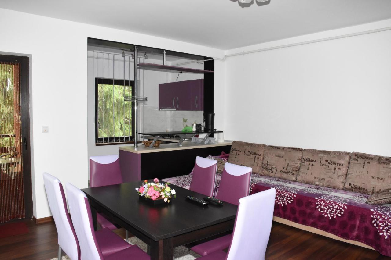 Hotel Apartament Eldya Comfort&Suites Predeal Εξωτερικό φωτογραφία