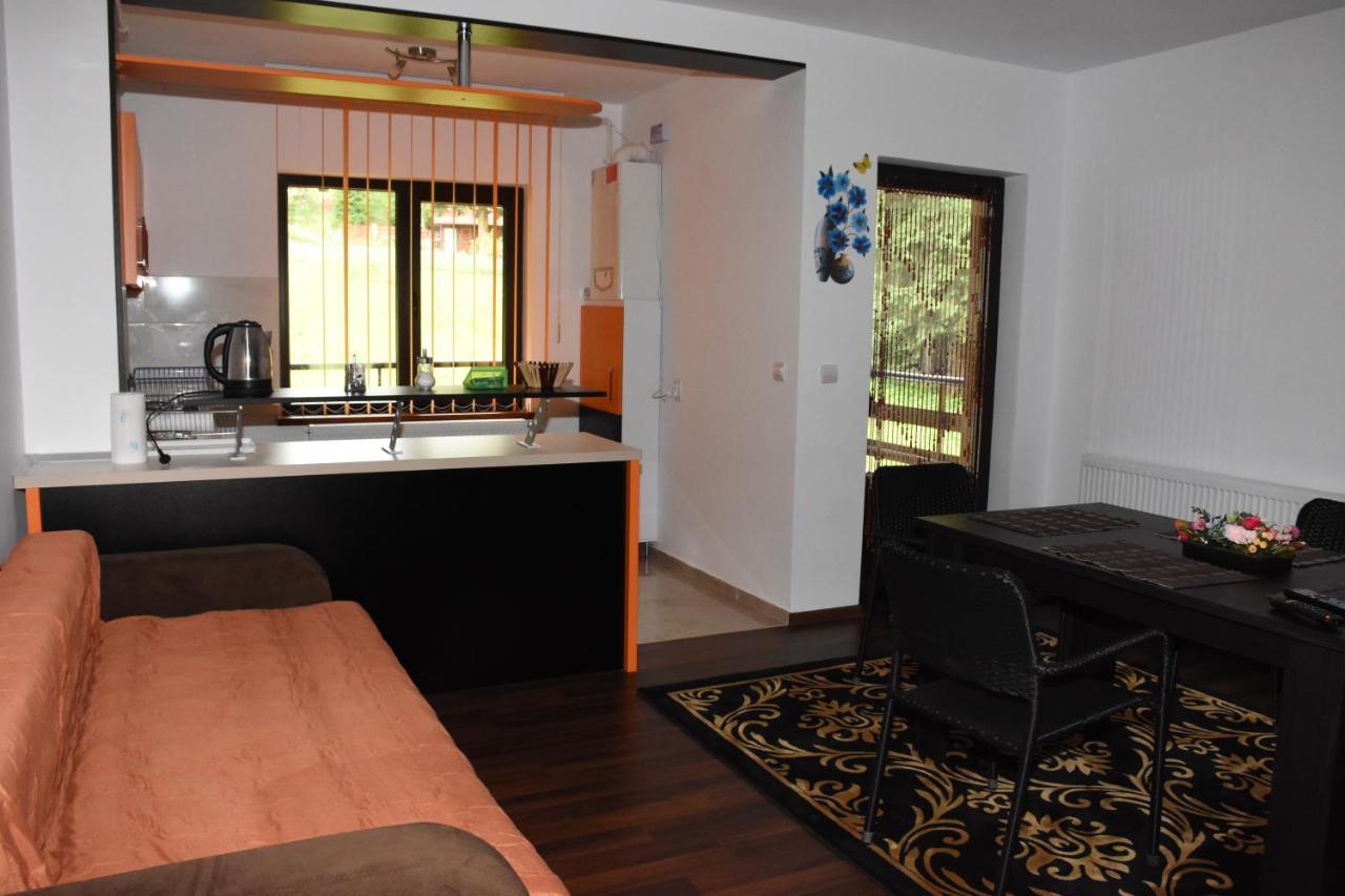 Hotel Apartament Eldya Comfort&Suites Predeal Εξωτερικό φωτογραφία