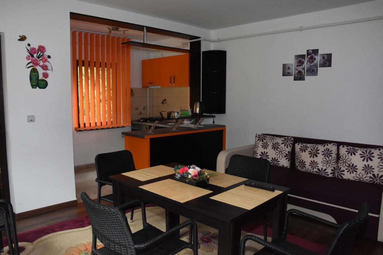 Hotel Apartament Eldya Comfort&Suites Predeal Εξωτερικό φωτογραφία